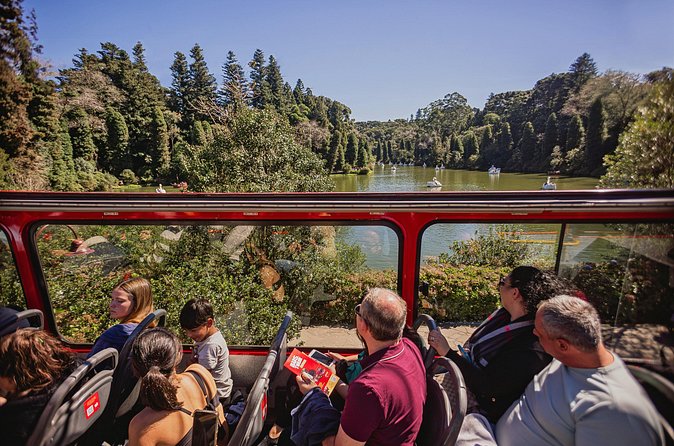 Ticket Bustour City Tour Official One Day Use - Family use, pets, and different language needs