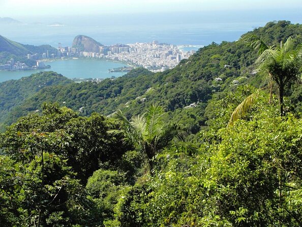 Tijuca Forest Challenge Full-Day Hike (Small-Group or Private) - Key points at a glance