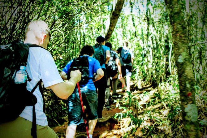 Tijuca Forest Challenge Full-Day Hike (Small-Group or Private) - Why this Tijuca Forest hike is different