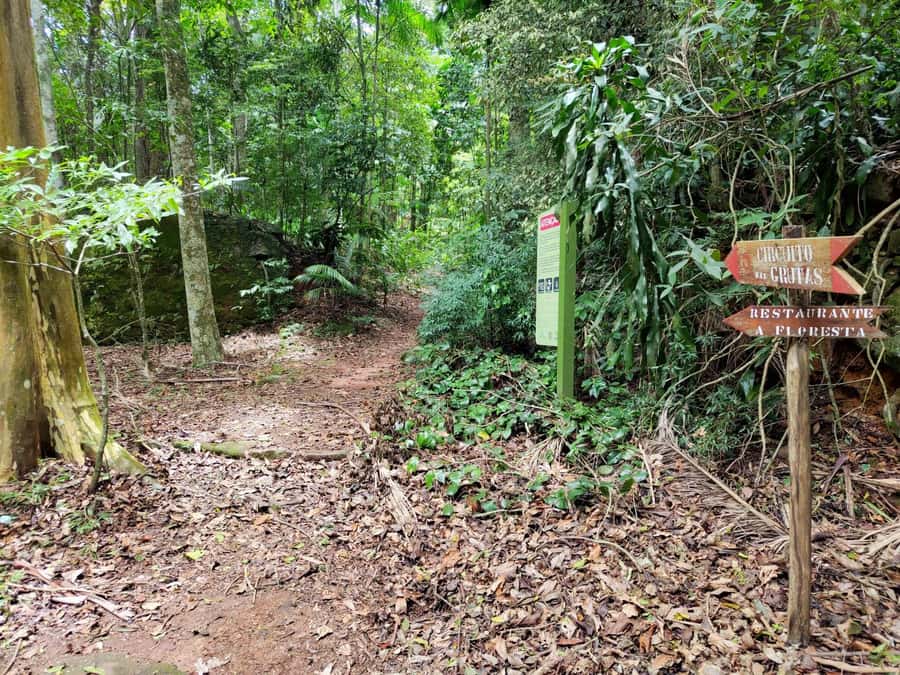 Tijuca Forest´s hike: caves, waterfalls and great views - What the $40 price really covers