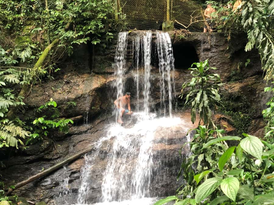 Tijuca Forest´s hike: caves, waterfalls and great views - Why this forest walk feels different from a standard Rio outing