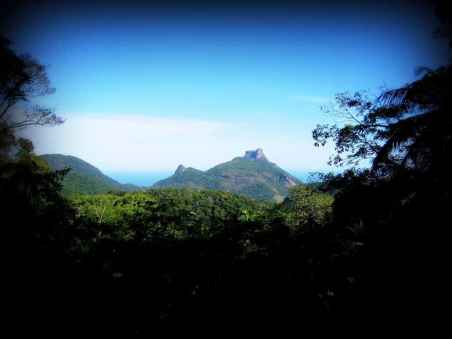 Tijuca Forest´s hike: caves, waterfalls and great views - The historical circuit and cave circuit