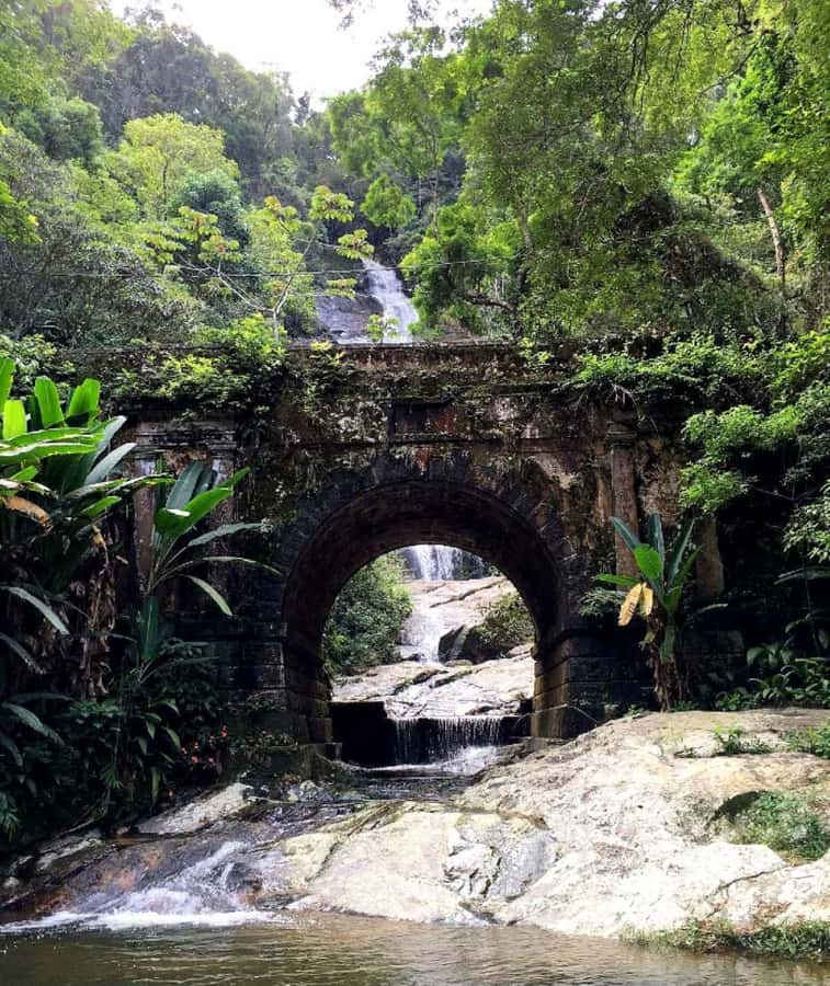 Tijuca Forest´s hike: caves, waterfalls and great views - Views that reward the uphill work