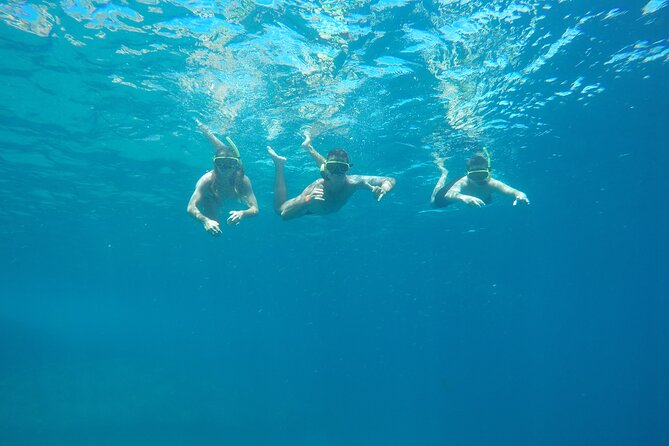 Tijuca Islands Snorkeling & Whale Watching Boat Tour from Rio - Key points before you book