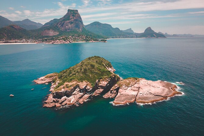Tijuca Islands Snorkeling & Whale Watching Boat Tour from Rio - Turtles, fish, birds, and the occasional stingray