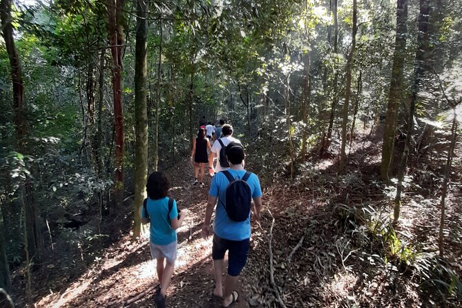 Tijuca National Park and all its wonders! - Why Tijuca National Park feels different from a normal Rio outing