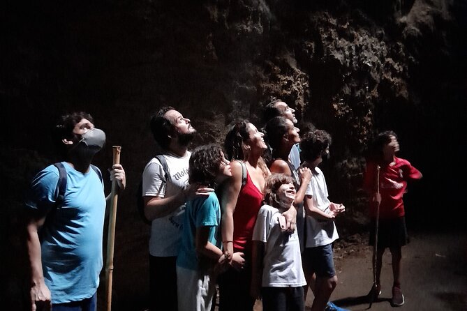 Tijuca National Park and all its wonders! - Taunay Waterfall and the park’s water features