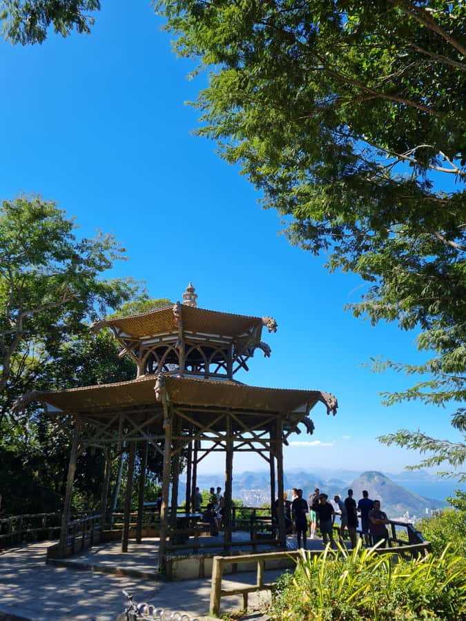 Tijuca Rain Forest - Adventure through Waterfalls & Caves - How the guiding affects the experience