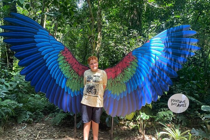 Tour 1 day: Brazilian Falls and Bird Park - Key points to know before booking
