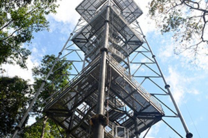Tour at the MUSA – Museum of the Amazon in Manaus - Walking the forest trails