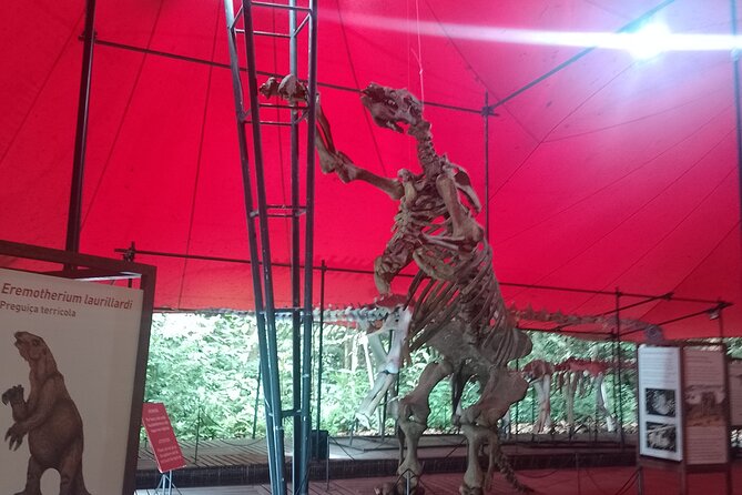 Tour at the MUSA – Museum of the Amazon in Manaus - Is $85.27 a fair price?