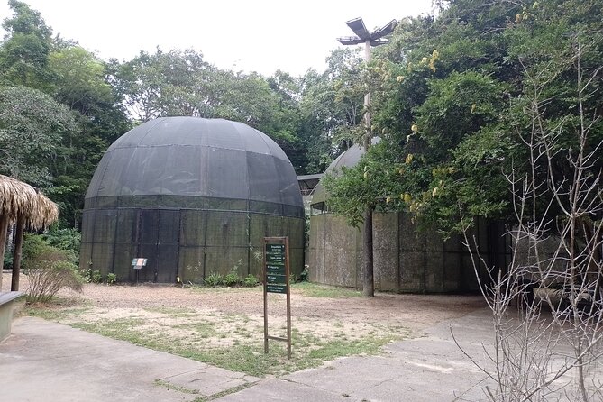 Tour at the MUSA – Museum of the Amazon in Manaus - Who will enjoy this Manaus tour most?