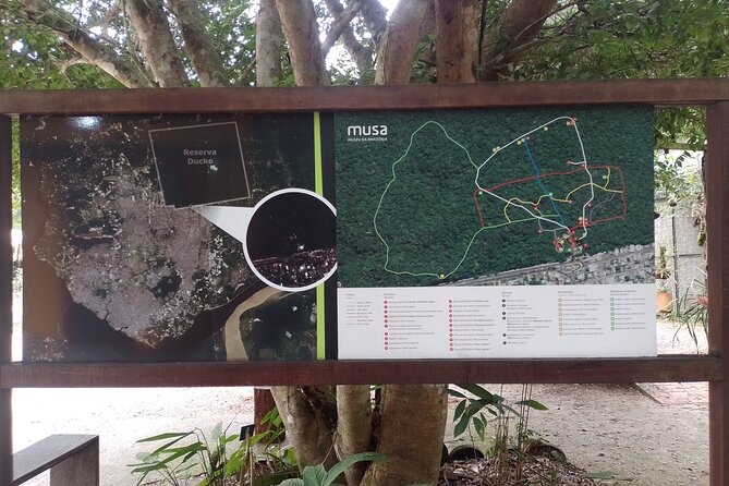 Tour at the MUSA – Museum of the Amazon in Manaus - Timing, pickup, and booking advice