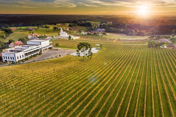 Tour Gran Reserva - Valley of the Vineyards - Four things to know before booking