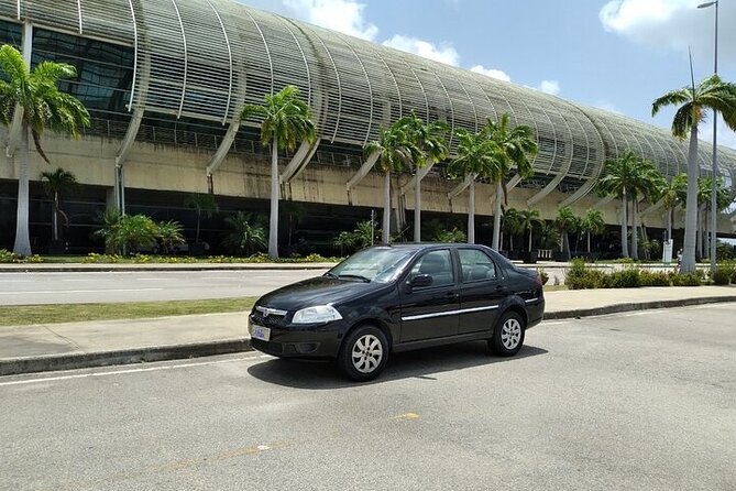 Tour Guide or Private Driver - Key points to know before booking