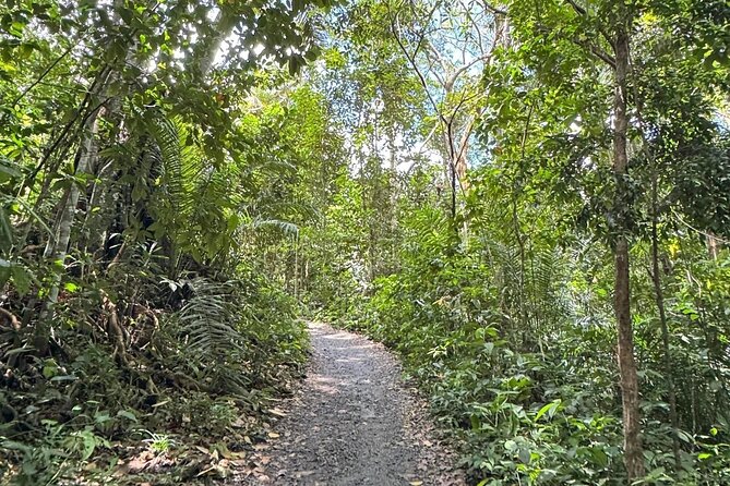 Tour of the 4 beaches and waterfalls in Itacaré - Key points to know before booking