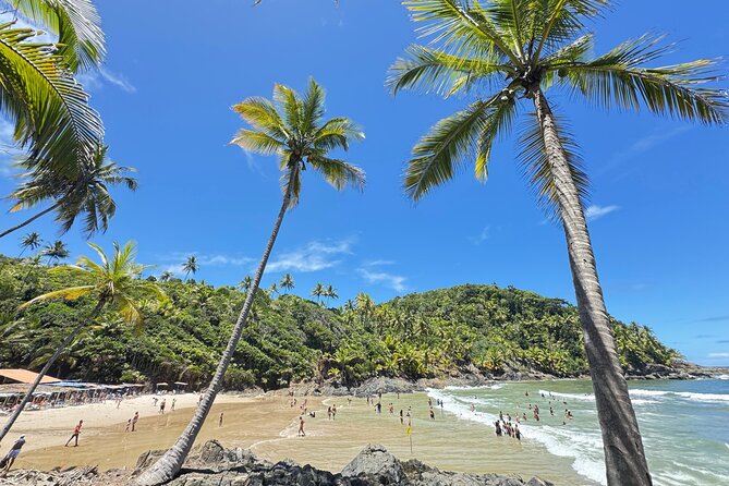 Tour of the 4 beaches and waterfalls in Itacaré - Itacarezinho starts the morning with wide-open scenery