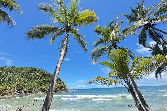 Tour of the 4 beaches and waterfalls in Itacaré - Havaizinho gives you the longest beach break