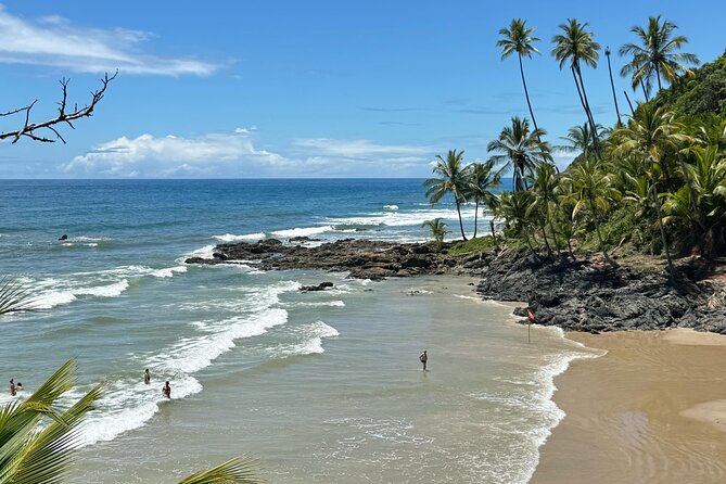 Tour of the 4 beaches and waterfalls in Itacaré - Local lunch and cacao coffee add a taste of Bahia