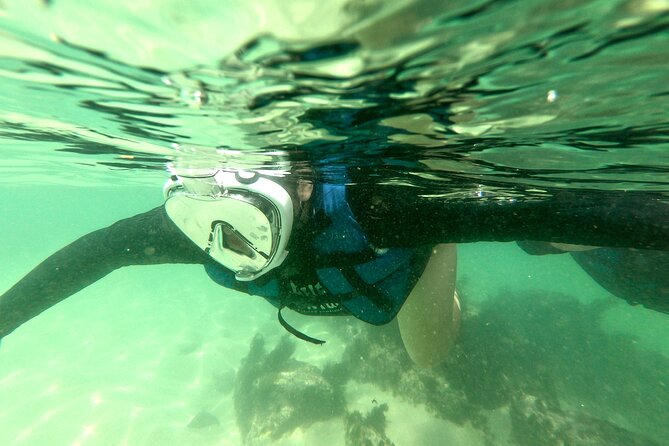 Tour to Bombinhas with Snorkeling Experiência - From Balneário Camboriú to Bombinhas