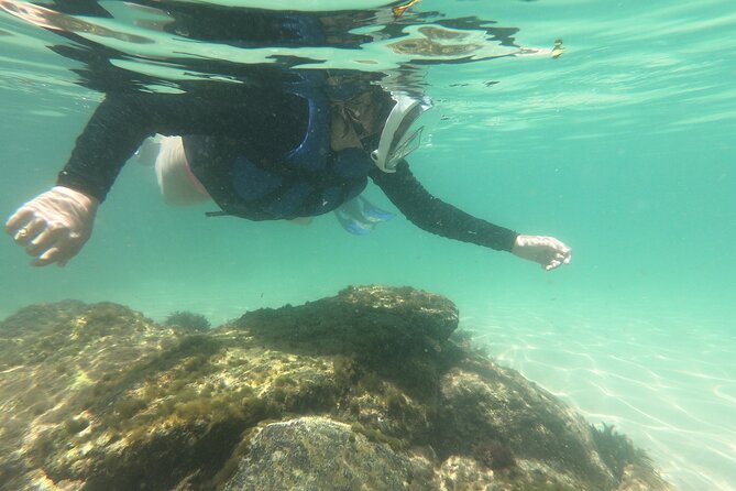 Tour to Bombinhas with Snorkeling Experiência - Is $74.55 a fair price?