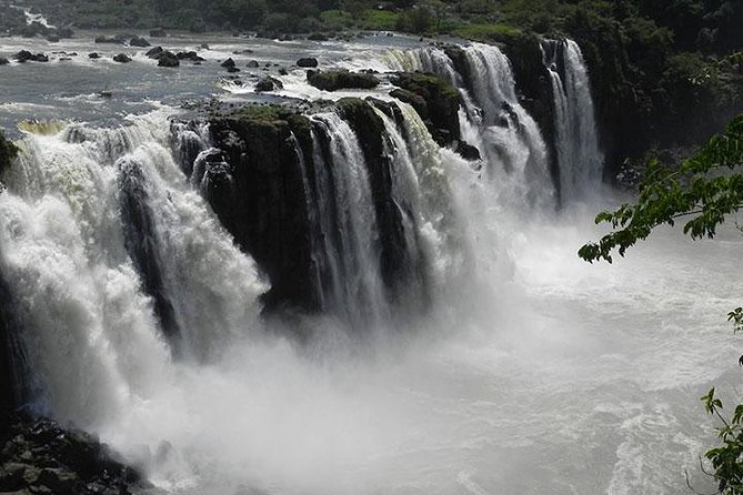 Tour to Iguassu Falls Brazilian side - Wildlife, forest, and the guide’s role