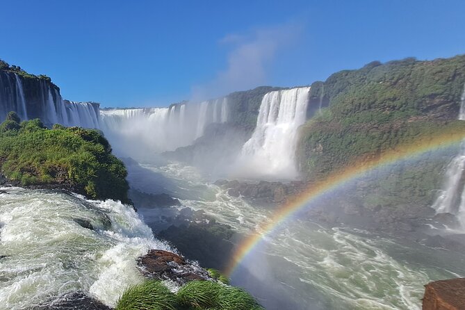 Tour to Iguazu Falls Brazil with visit at the Bird Park - Spending 1 hour and 45 minutes at Parque das Aves