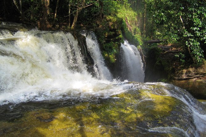Tour to Presidente Figueiredo: Amazon Waterfalls - Cachoeira do Santuario and the short forest walk