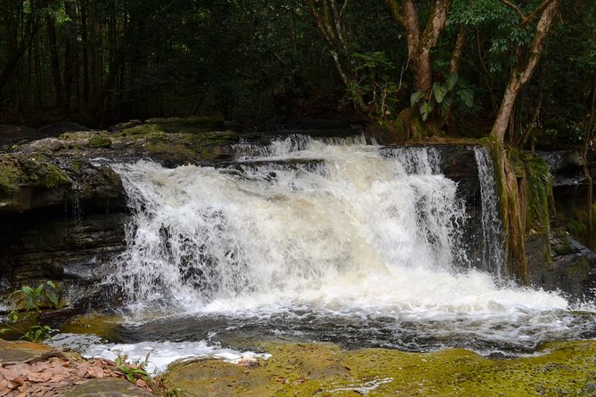 Tour to Presidente Figueiredo: Amazon Waterfalls - Cachoeira de Iracema and the afternoon return