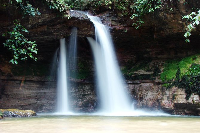 Tour to Presidente Figueiredo: Amazon Waterfalls - Final verdict: a strong day outside Manaus