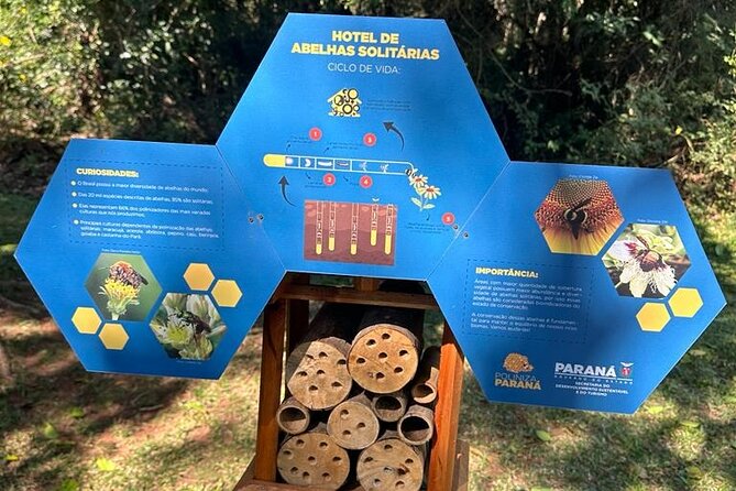 Tour to the State Park of Vila Velha - Why Vila Velha Makes a Good Curitiba Excursion