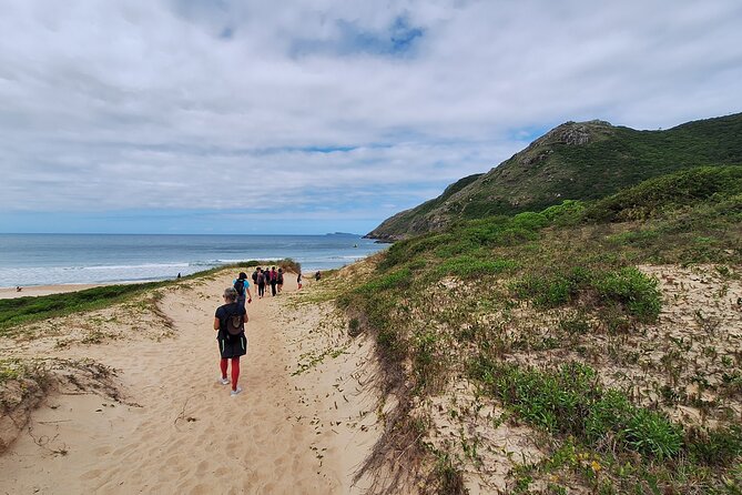 Trail to Lagoinha do Leste and Morro da Coroa - The five-hour trail and what it demands