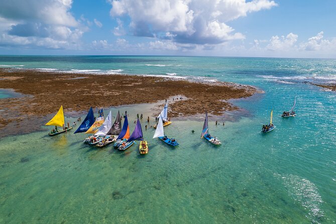 Transfer Airport DE Recife/Port DE Galinhas (turn or return) - Key points to know before booking