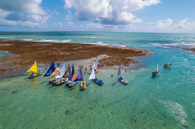 Transfer Airport DE Recife/Port DE Galinhas (turn or return) - The one-hour route to Porto de Galinhas
