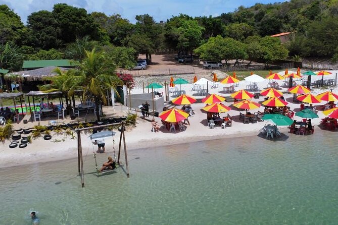 Transfer and Tour in Natal's South Coast - Key Points to Know Before You Go