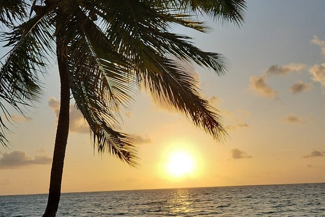 Transfer from Maceió to São Miguel dos Milagres - Who should book this São Miguel dos Milagres ride?
