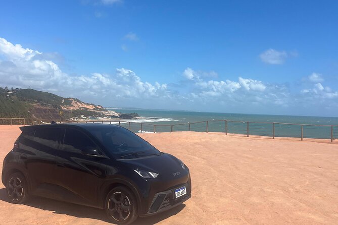Transfers PIPA Airports in Premium Electric Cars - Why flight tracking is the most useful feature