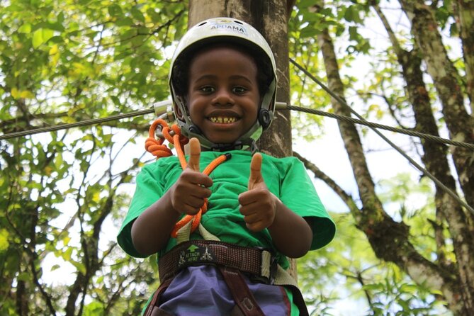 Tree climbing among the araucarias - Key points at a glance