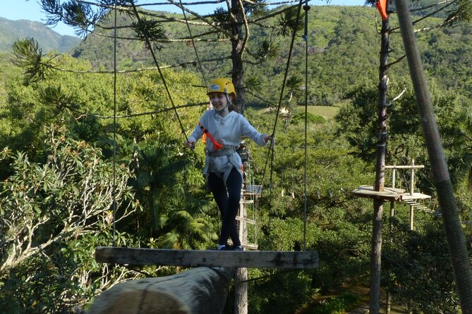 Tree climbing among the araucarias - Is $29.57 a fair price?
