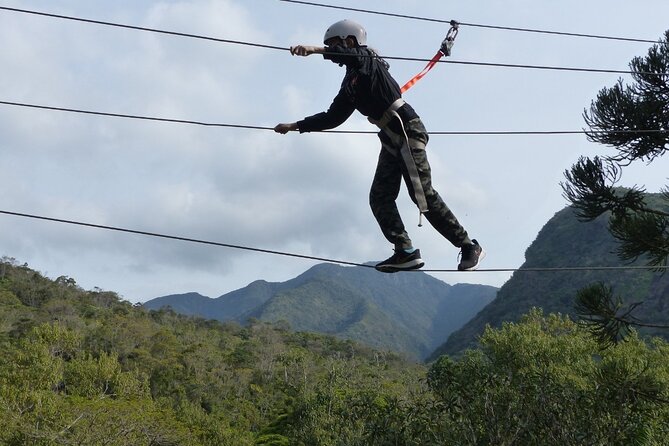Tree climbing among the araucarias - Acrobatic obstacles and forest observation