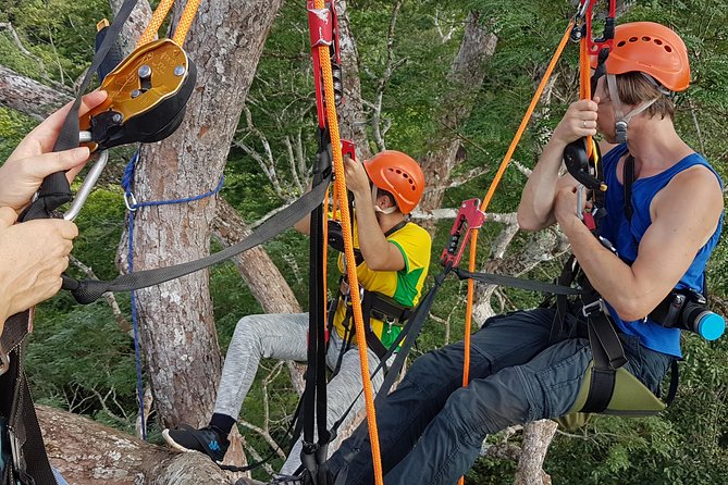 Tree Climbing in the Amazon - Key points to know before you book