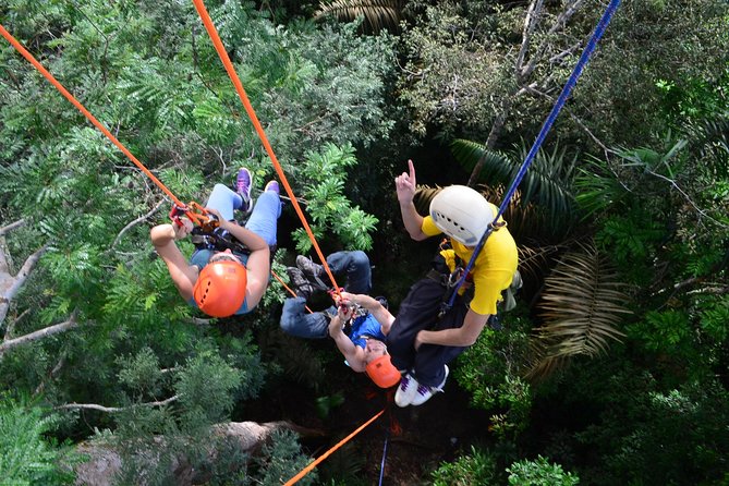 Tree Climbing in the Amazon - What is included, and what you need to bring