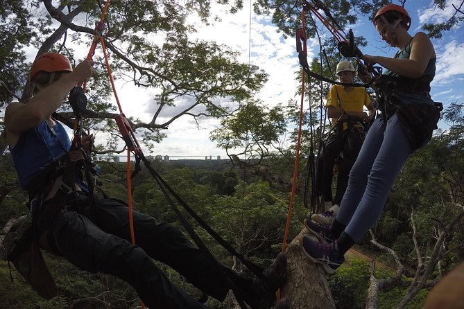 Tree Climbing in the Amazon - How long the experience really takes