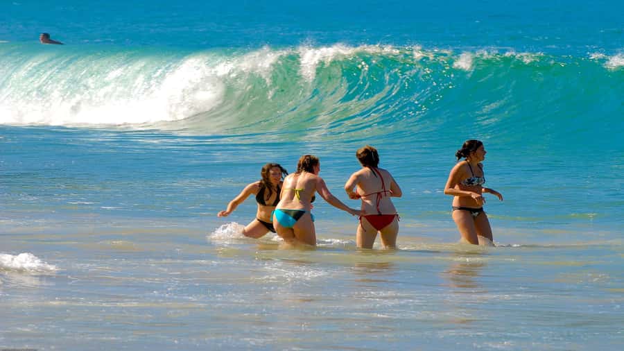 Trindade Day Trip: Nature and Sea Adventure from Paraty - Five things to know before you go