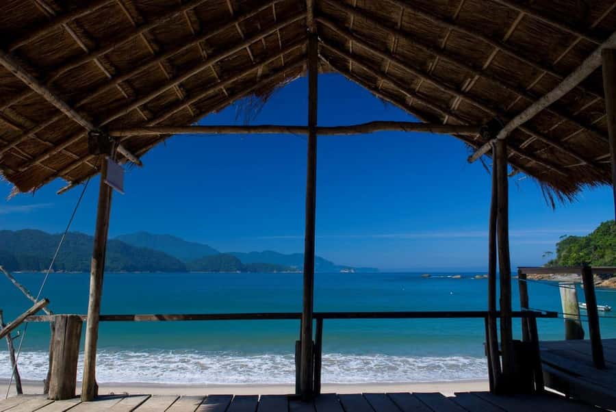 Trindade Day Trip: Nature and Sea Adventure from Paraty - What the forest and coast add to the experience