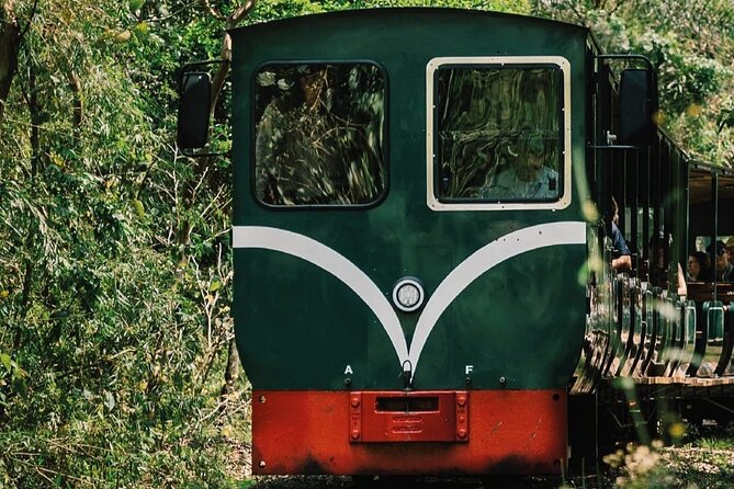 Unmissable Day Tour in Brazil, Argentina, and More! - Price, Group Size, and Real Value