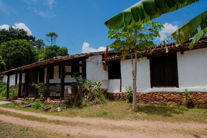 Visit the 18th Century Cachaça, Brazil's oldest invention! - Seeing direct-fire cachaça production