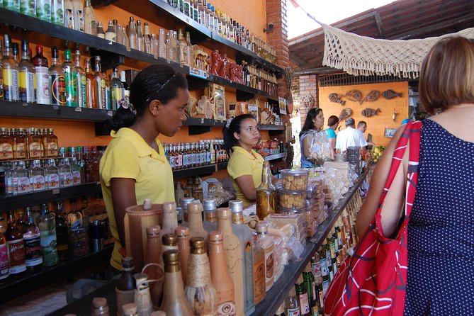 Walk to Morro Branco Beach & Praia das Fontes - Guides, drivers, and the group atmosphere