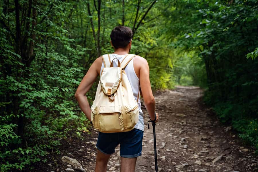 Walk to the Big Rock in Cantareira State Park - Walking the Serra da Cantareira trail