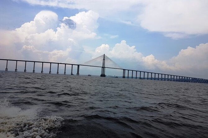 Walking Tours in Manaus - Palace of Justice and Avenida Eduardo Ribeiro